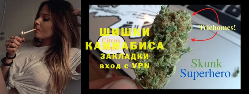 Бошки марихуана SATIVA & INDICA  hydra ссылка  Кизляр 